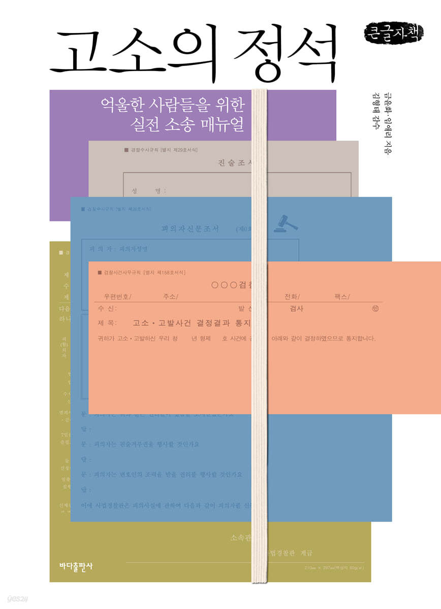 고소의 정석 (큰글자책)