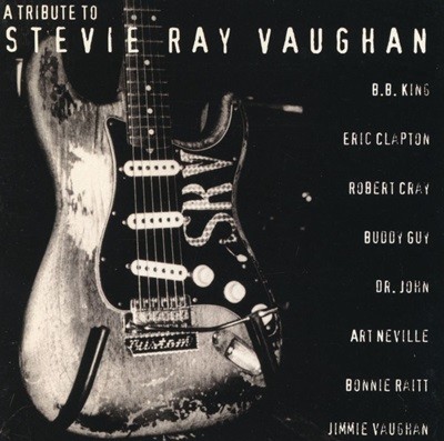 스티비 레이 본 - Stevie Ray Vaughan - A Tribute To Stevie Ray Vaughan [캐나다발매]
