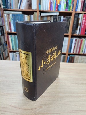 中醫病證小方辭典 (중문간체, 1992 초판) 중의병증소방사전