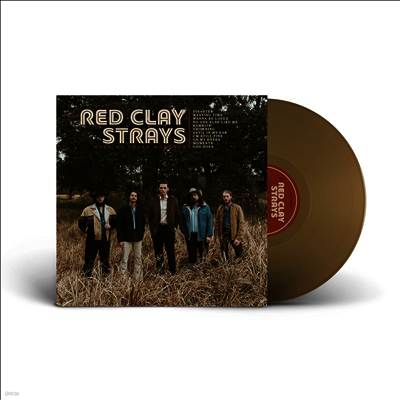 Red Clay Strays — Made By These Moments 앨범 커버