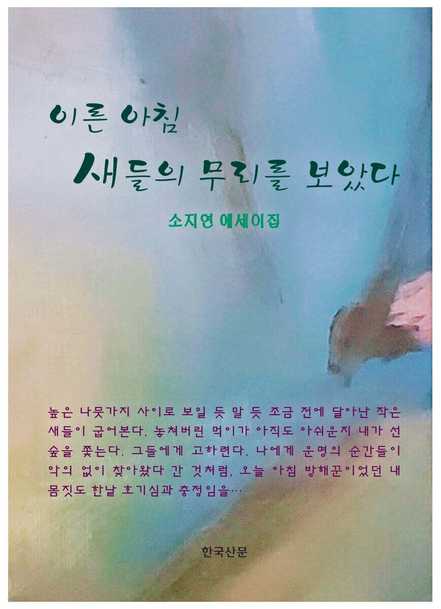 이른 아침 새들의 무리를 보았다