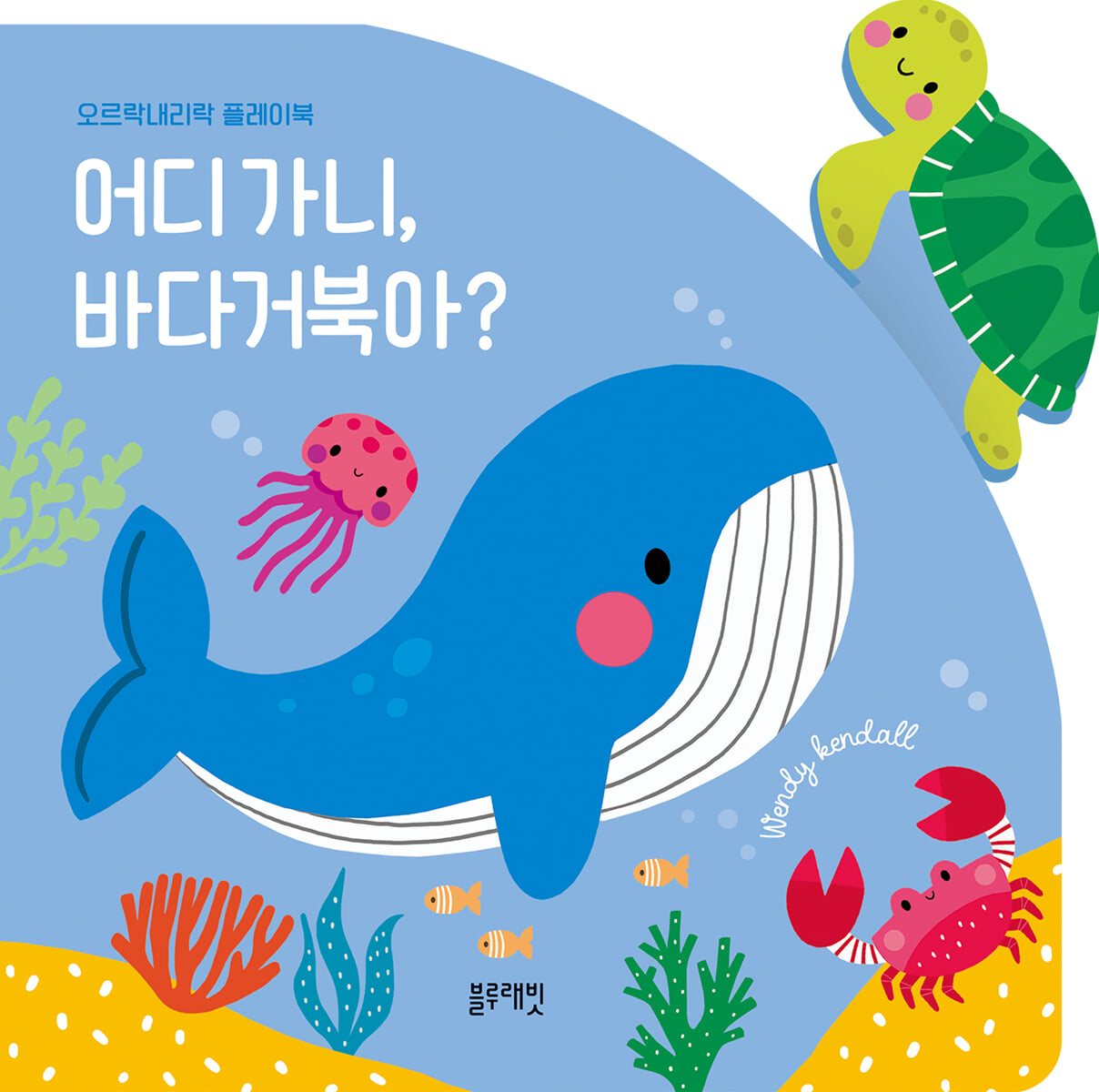 어디 가니, 바다거북아?