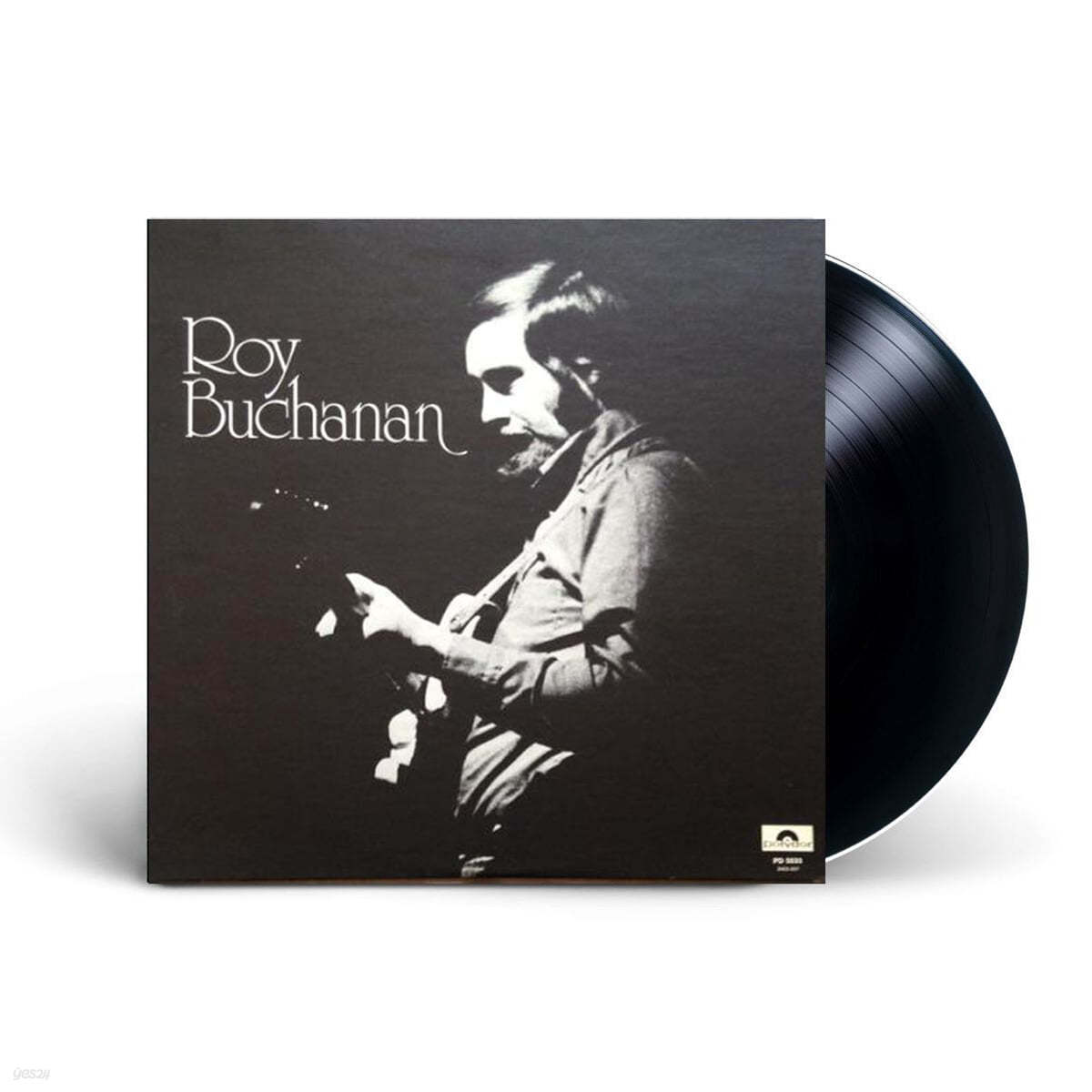 Roy Buchanan (로이 뷰캐넌) - Roy Buchanan & The Snakestretchers [LP]