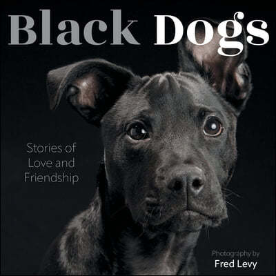 Black Dogs: Stories of Love and Friendship