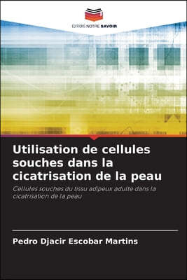 Utilisation de cellules souches dans la cicatrisation de la peau