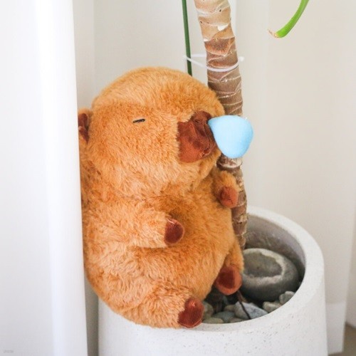 īǹٶ ๰   30cm [Capybara ĳ   Ϳ   ģ   ĳǹٶ ׸ ǰ]