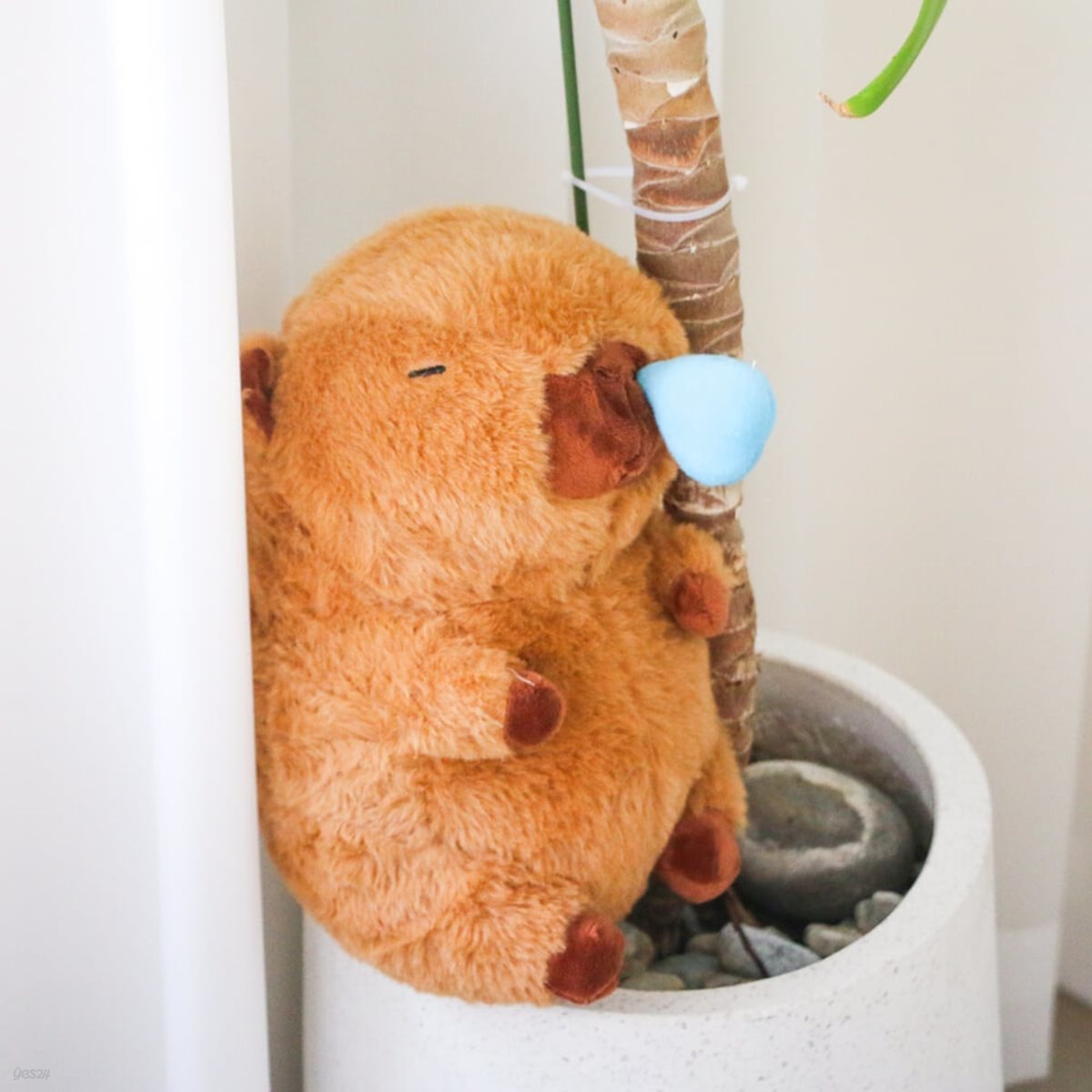 카피바라 콧물 인형 중형 30cm [Capybara 캐릭터 동물 봉제 귀여운 모찌 쿠션 친구 웃긴 선물 캐피바라 인테리어 소품]