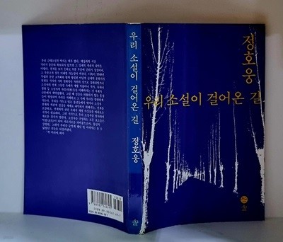 우리 소설이 걸어온 길 - 초판