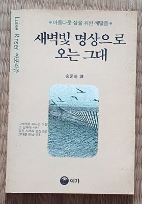 새벽빛 명상으로 오는 그대