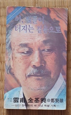 아, 빛들이 터지는 걸음으로 (운보 김기창 실명소설)