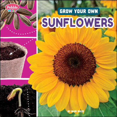 Grow Your Own Sunflowers