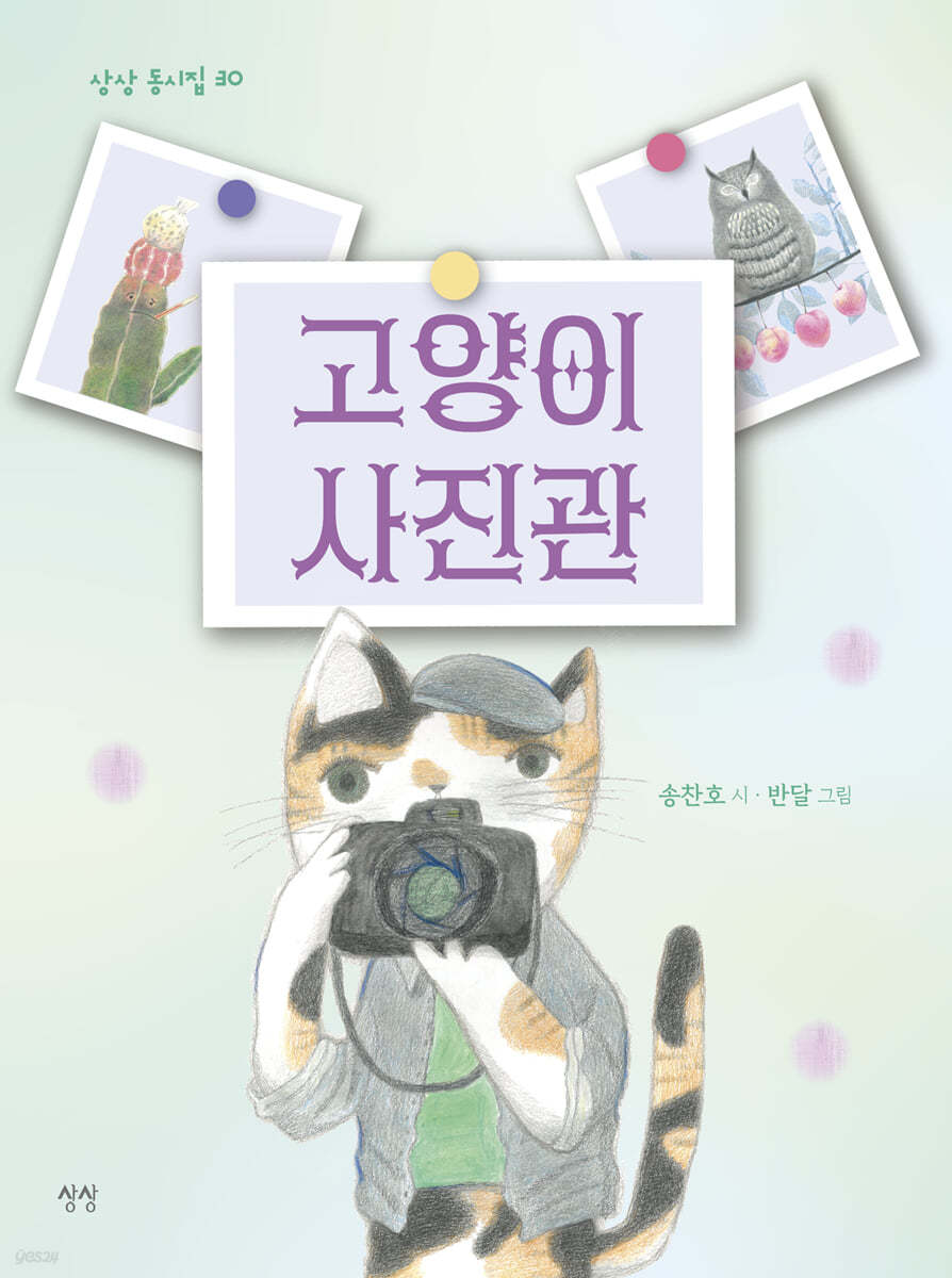 고양이 사진관