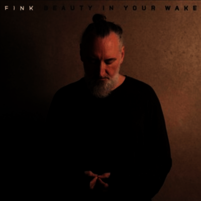 Fink — Beauty In Your Wake 앨범 커버
