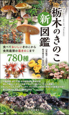 橡木のきのこ新圖鑑