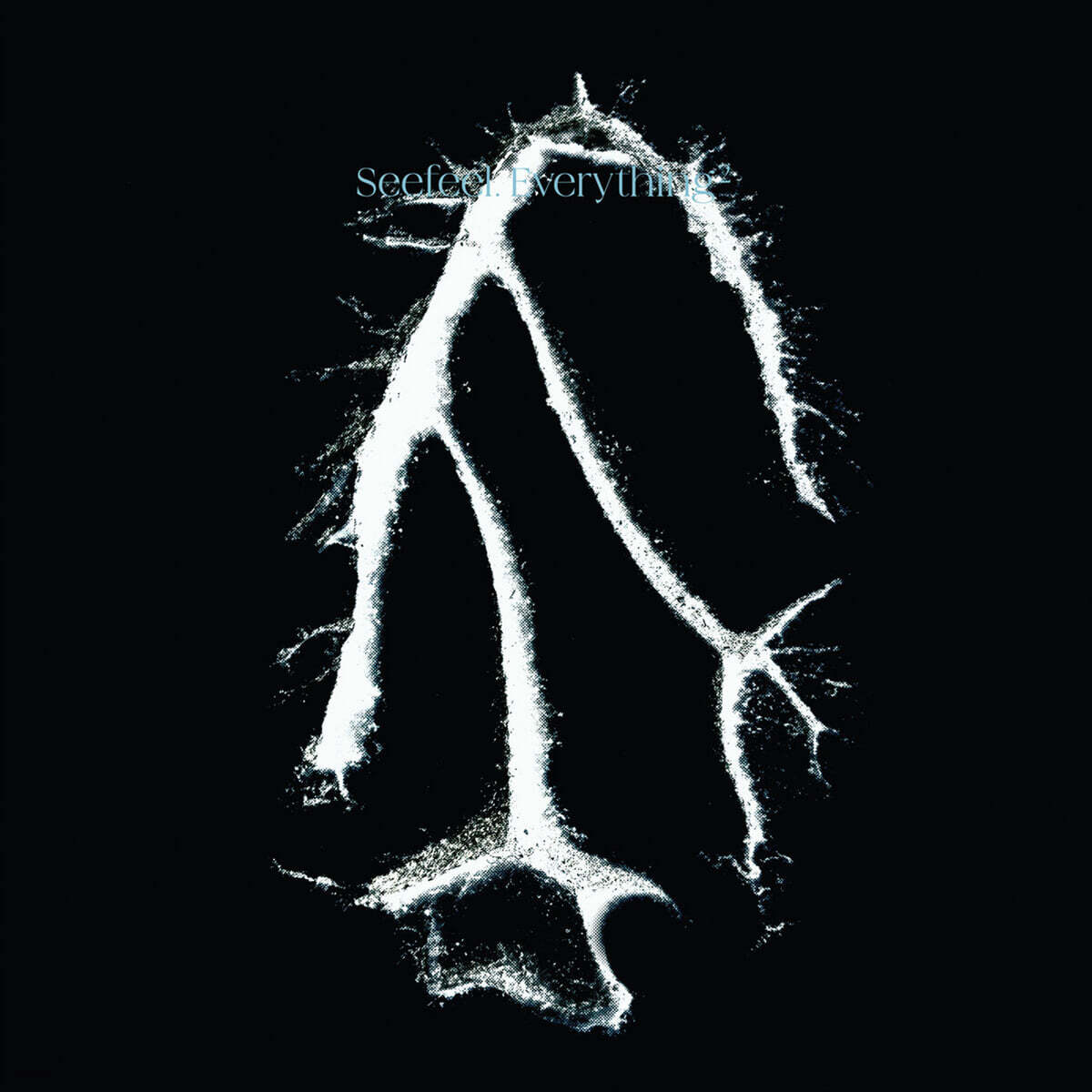 Seefeel (시필) - Everything Squared [LP]