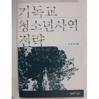 기독교 청소년사역 전략 /(나삼진)