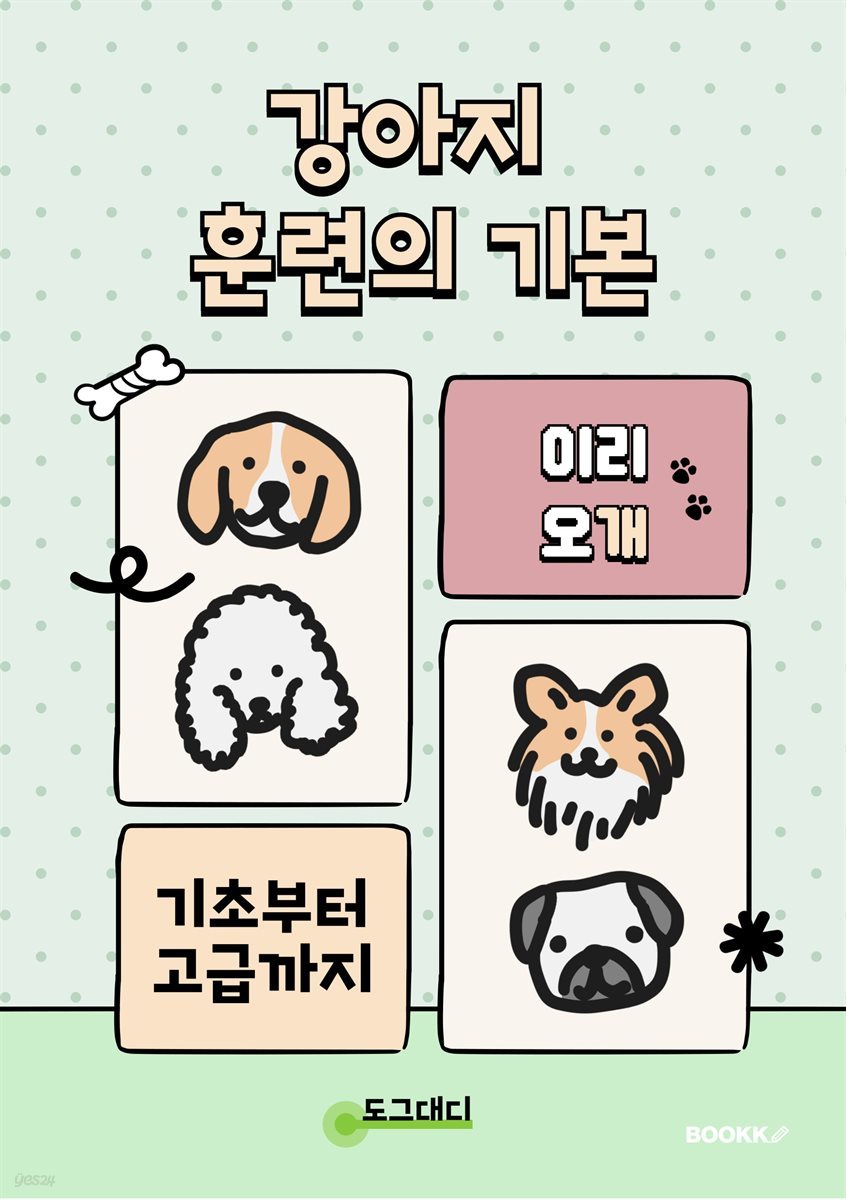 강아지 훈련의 기본