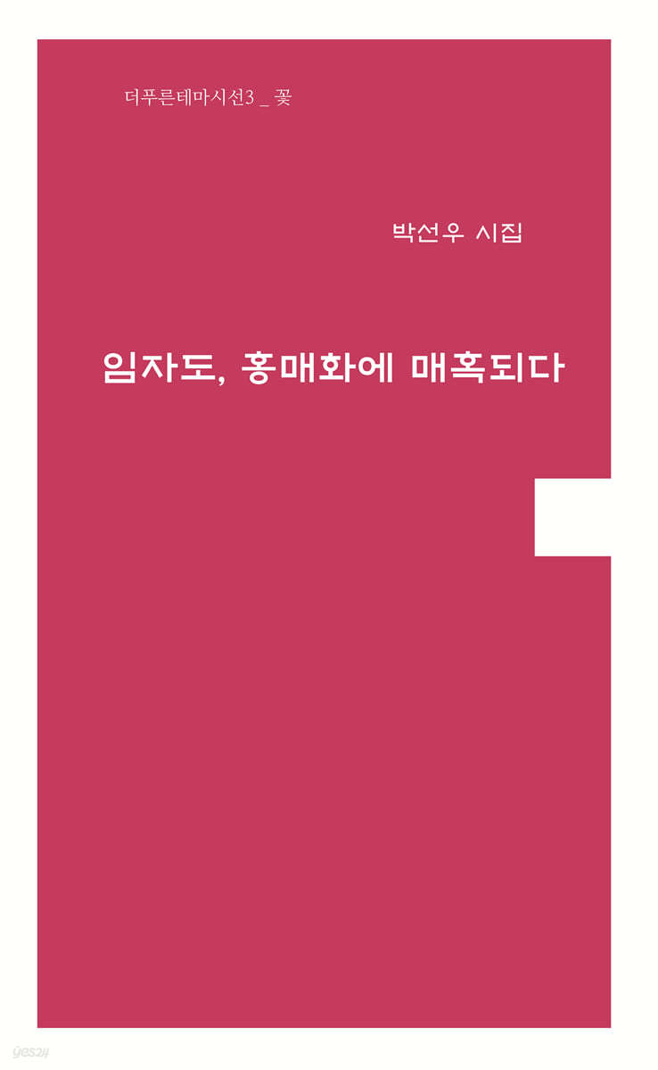 임자도, 홍매화에 매혹되다