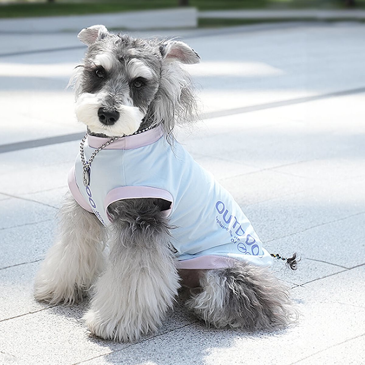 [레토] 데일리 강아지옷 티셔츠 애견의류 (LDR-T04)