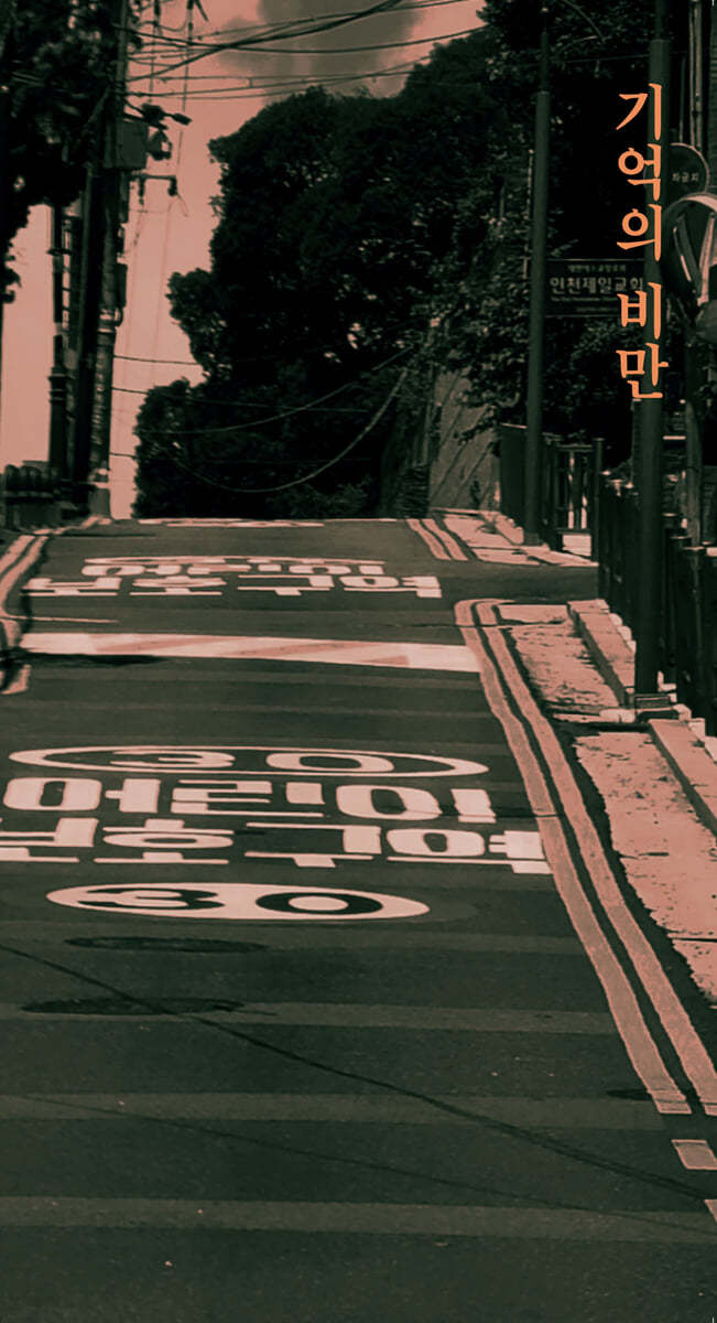 기억의 비만
