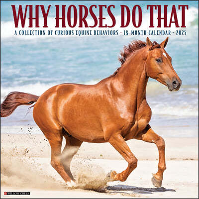 Why Horses Do That 2025 12 X 12 Wall Calendar