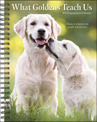 What Goldens Teach Us 2025 6.5 X 8.5 Engagement Calendar