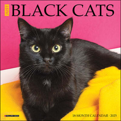 Just Black Cats 2025 7 X 7 Mini Wall Calendar