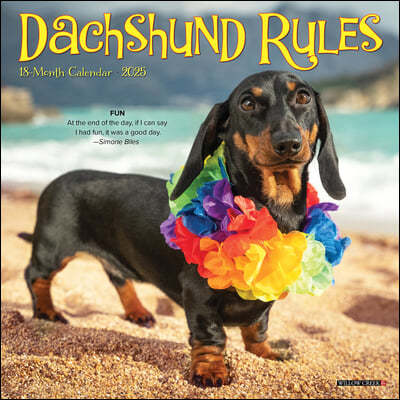 Dachshund Rules 2025 7 X 7 Mini Wall Calendar