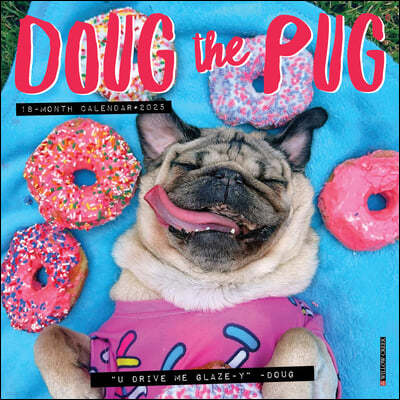 Doug the Pug 2025 7 X 7 Mini Wall Calendar