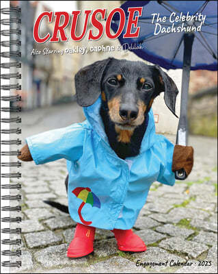 Crusoe the Celebrity Dachshund 2025 6.5 X 8.5 Engagement Calendar