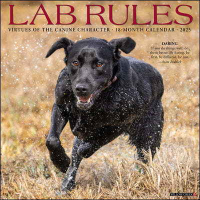 Lab Rules 2025 12 X 12 Wall Calendar