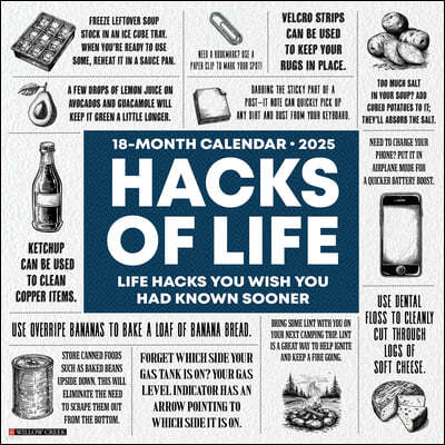 Hacks of Life 2025 12 X 12 Wall Calendar