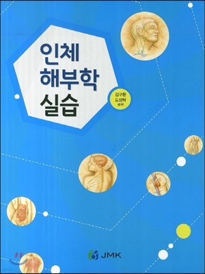 인체해부학 실습