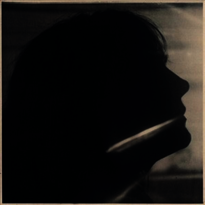 Sarah Blasko — I Just Need To Conquer This Mountain 앨범 커버