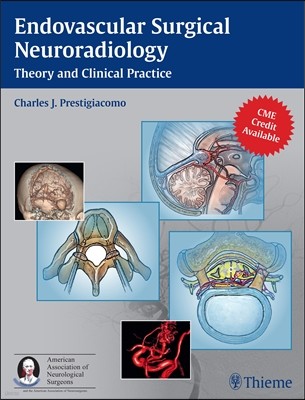 Endovascular Surgical Neuroradiology