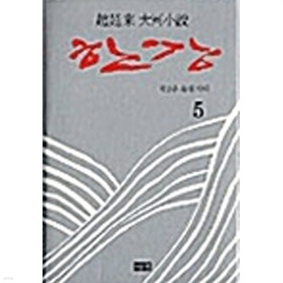 한강 5 - 양장본.조정래 대하소설.지은이 조정래.출판사 해냄.초판 제 1판 1쇄 2003년 8월 5일 발행.