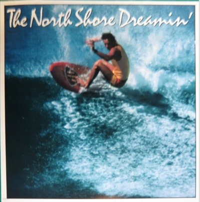 [일본반][LP] V.A - The North Shore Dreamin‘