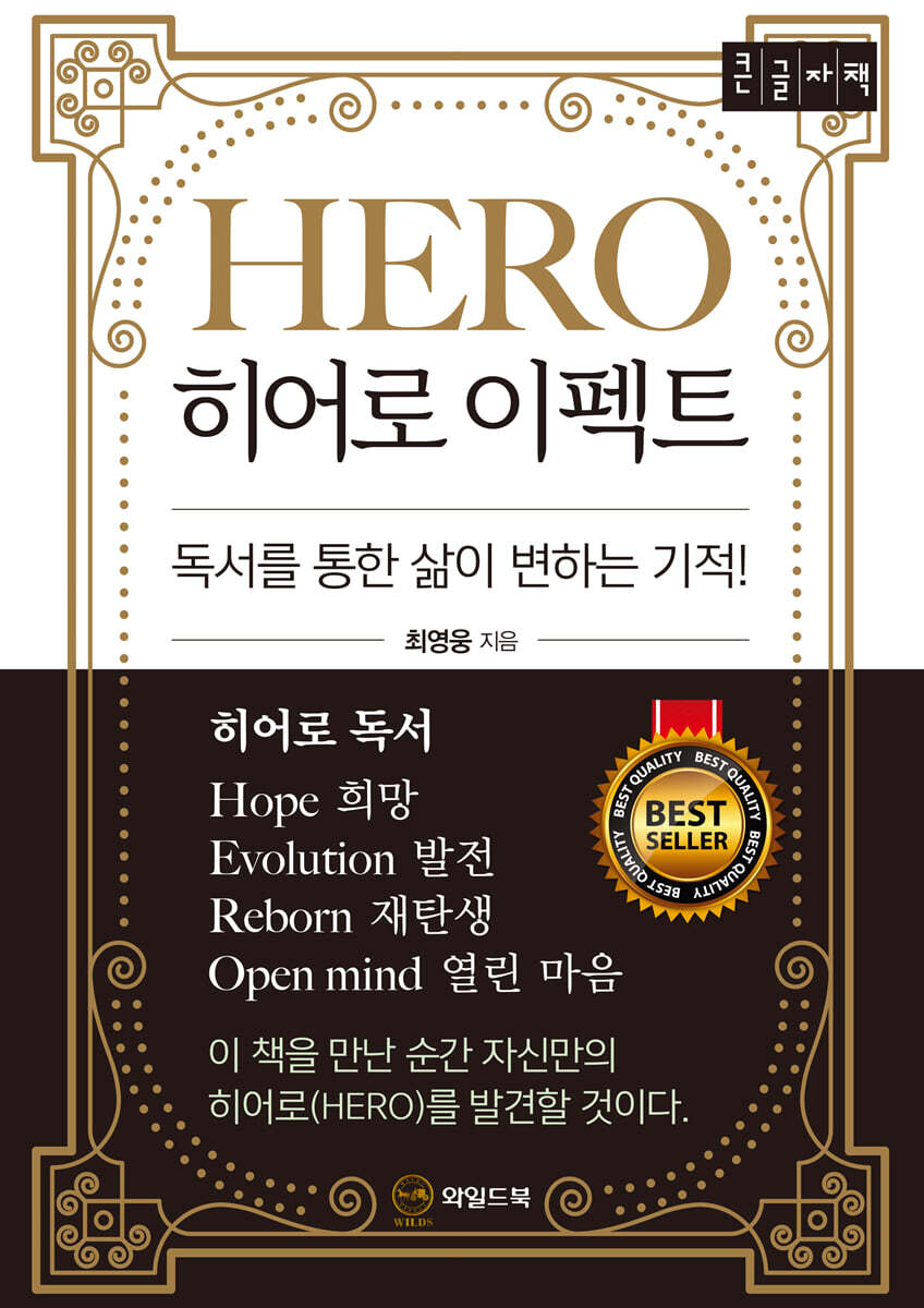 와일즈북 히어로 이펙트 (큰글자책)