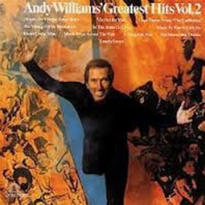 Andy Williams / Andy Williams' Greatest Hits Vol. 2 (수입)