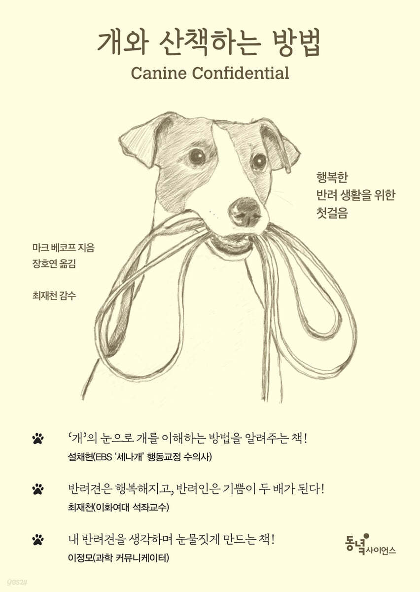 개와 산책하는 방법