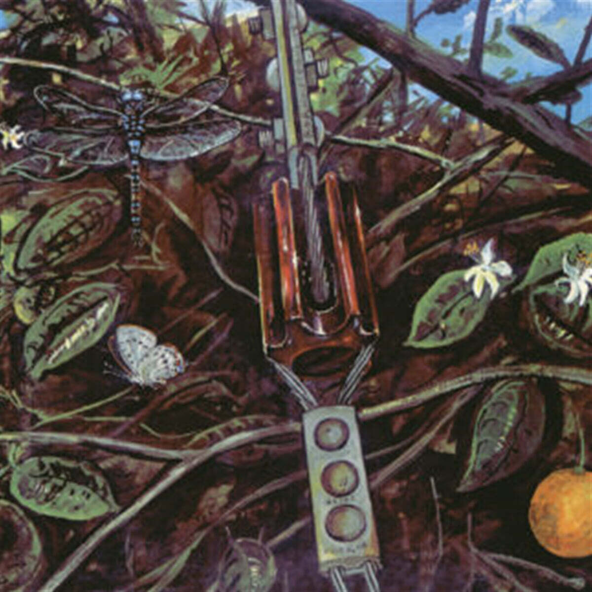 Dragonfly - Dragonfly [LP]
