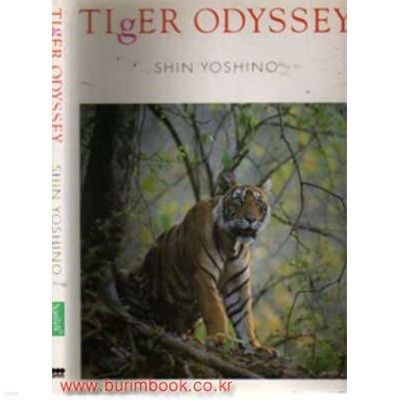 (상급) 일본원서 TIGER ODYSSEY 사진집