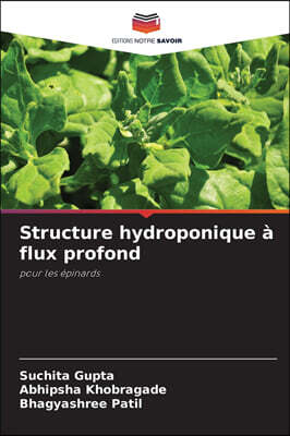 Structure hydroponique a flux profond