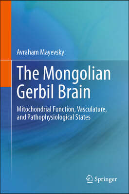 The Mongolian Gerbil Brain: Mitochondrial Function, Vasculature, and Pathophysiological States