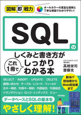 SQLΪߪ۰1Ǫê磌  