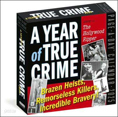 Year of True Crime Page-A-Day® Calendar 2025