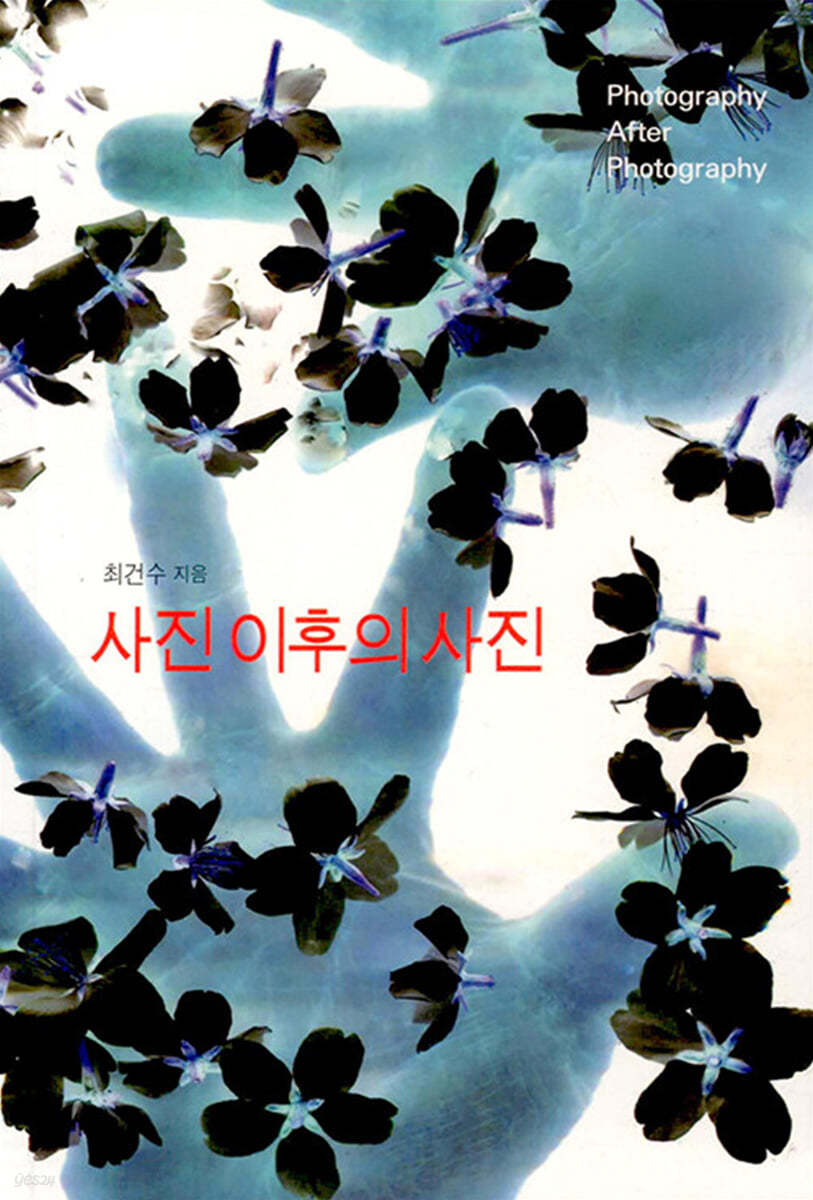 사진 이후의 사진