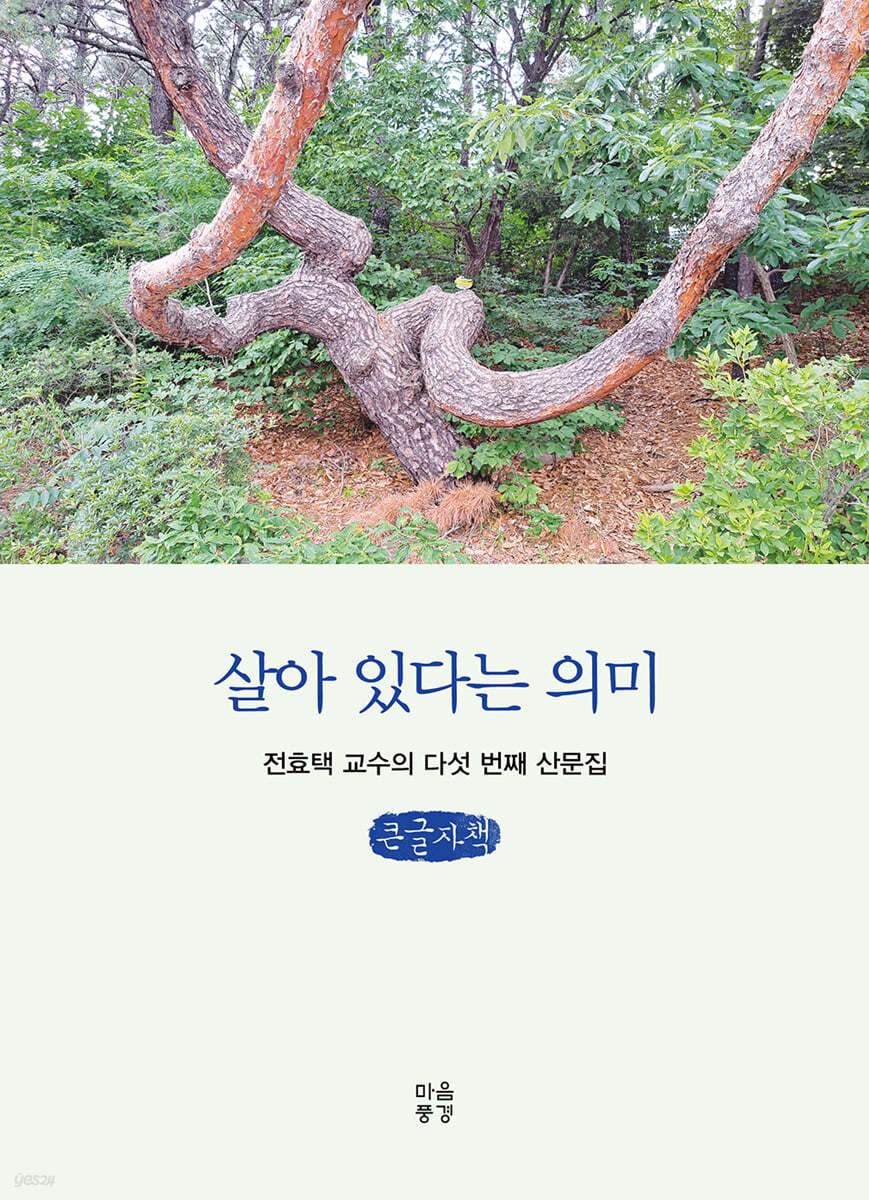살아 있다는 의미 (큰글자책)