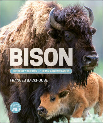 Bison: Community Builders and Grassland Caretakers