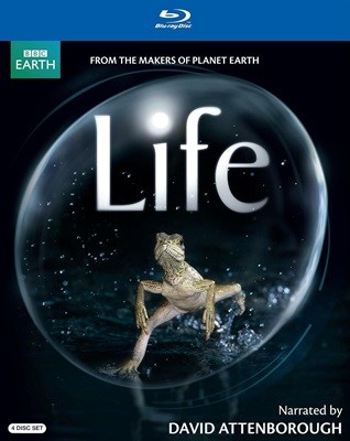 David Attenborough BBC Earth Blu-ray Collection Life 라이프 블루레이 4 디스크